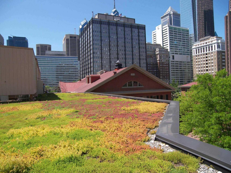 paysagiste-CUERS-min_green-roof-portfolio-4